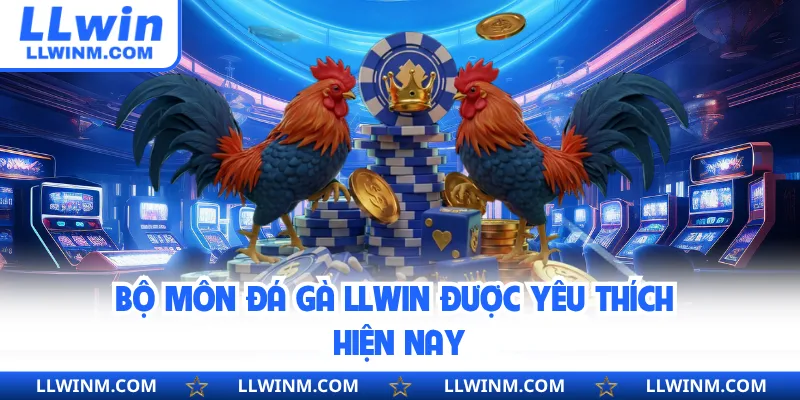 Bộ môn đá gà LLwin được yêu thích hiện nay