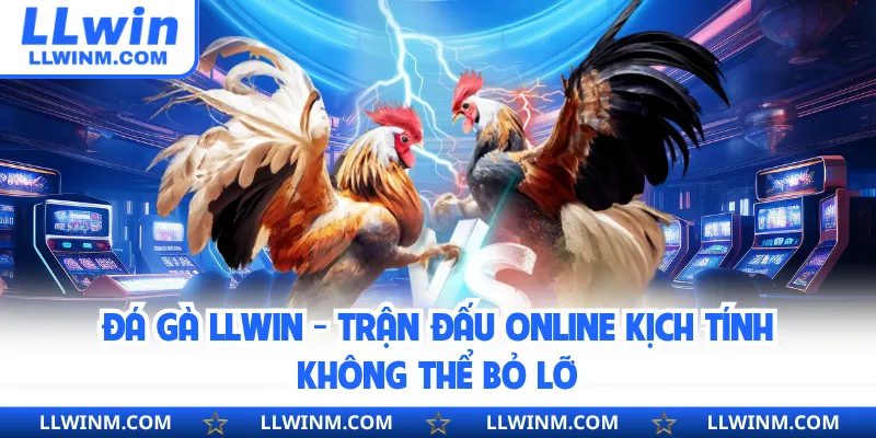 Đá Gà LLwin - Trận Đấu Online Kịch Tính Không Thể Bỏ Lỡ