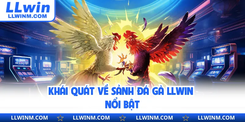 Khái quát về sảnh đá gà LLwin nổi bật