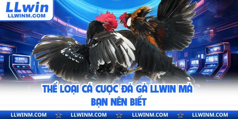 Thể loại cá cược đá gà LLwin mà bạn nên biết